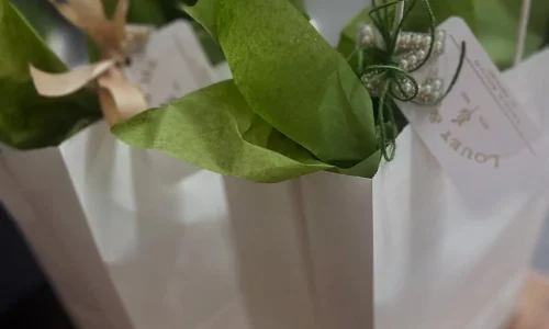 Louey and Me gift wrapping